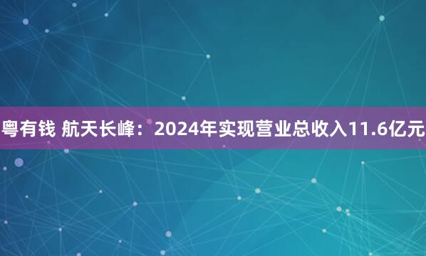 粤有钱 航天长峰：2024年实现营业总收入11.6亿元