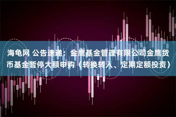 海龟网 公告速递：金鹰基金管理有限公司金鹰货币基金暂停大额申购（转换转入、定期定额投资）