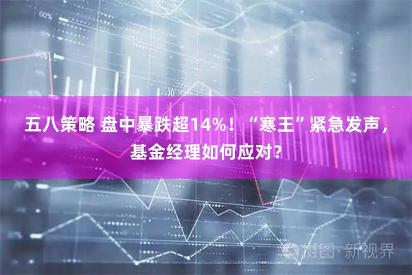 五八策略 盘中暴跌超14%！“寒王”紧急发声，基金经理如何应对？